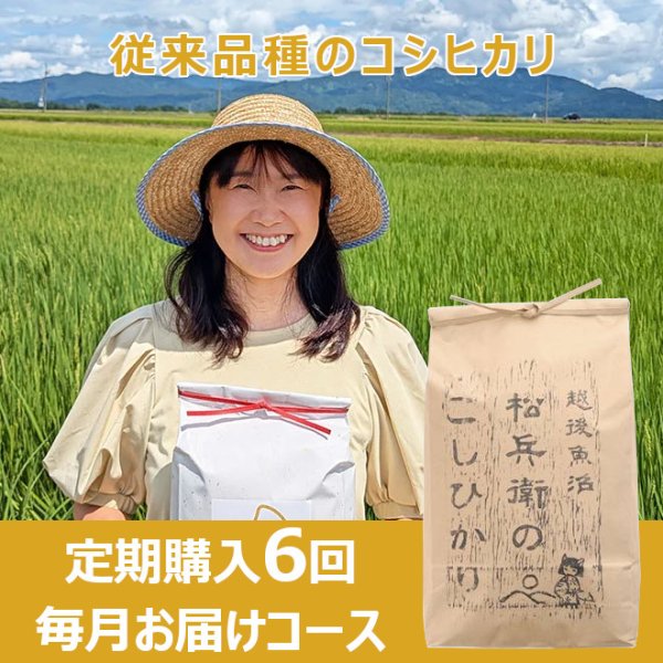 画像1: 【定期購入】山口松兵衛農園　松兵衛のコシヒカリ従来品種　４回毎月お届けコース (1)