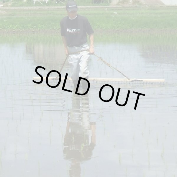 画像3: 【魚沼わたなべ農園】JAS有機栽培米（精米）５kg (3)