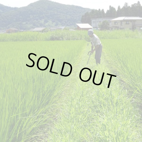 画像4: 【魚沼わたなべ農園】JAS有機栽培米（精米）５kg (4)