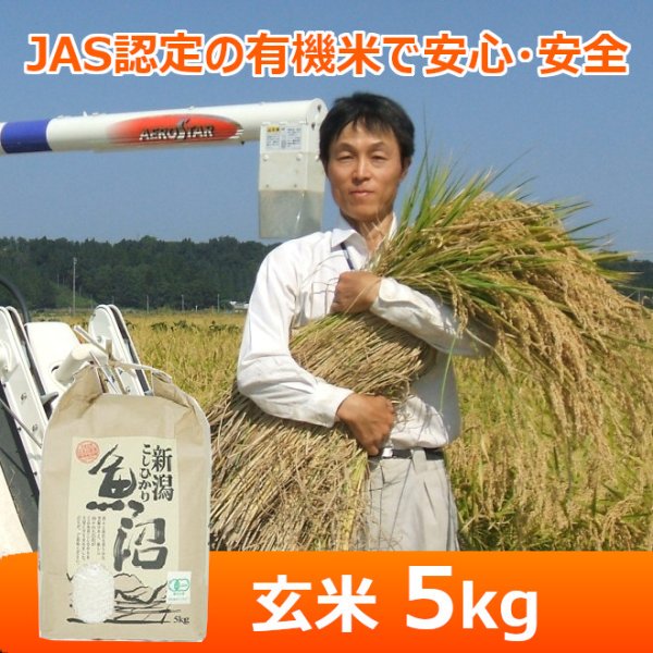 画像1: 令和７年産【魚沼わたなべ農園】JAS有機栽培米 （玄米）５kg (1)