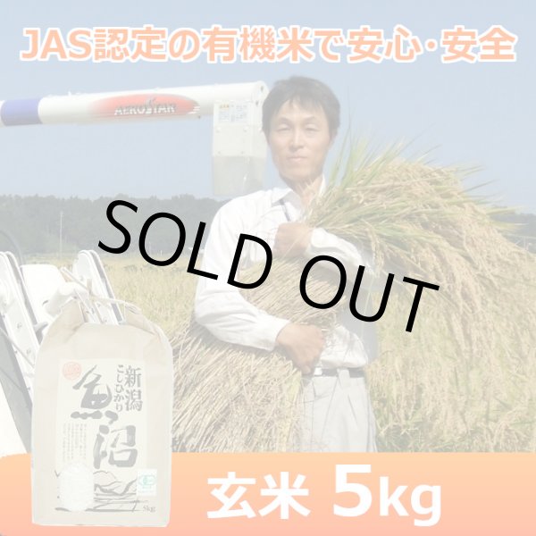 画像1: 【魚沼わたなべ農園】JAS有機栽培米 （玄米）５kg (1)