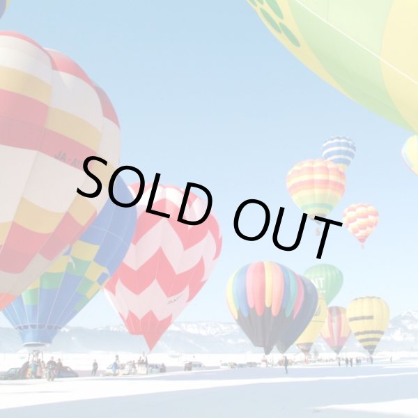 画像2: おぢや風船一揆第50回記念ラベル　越の寒中梅　吟醸生貯蔵酒　720ml (2)