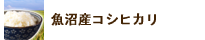 魚沼産コシヒカリ