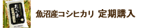 魚沼産コシヒカリ 定期購入