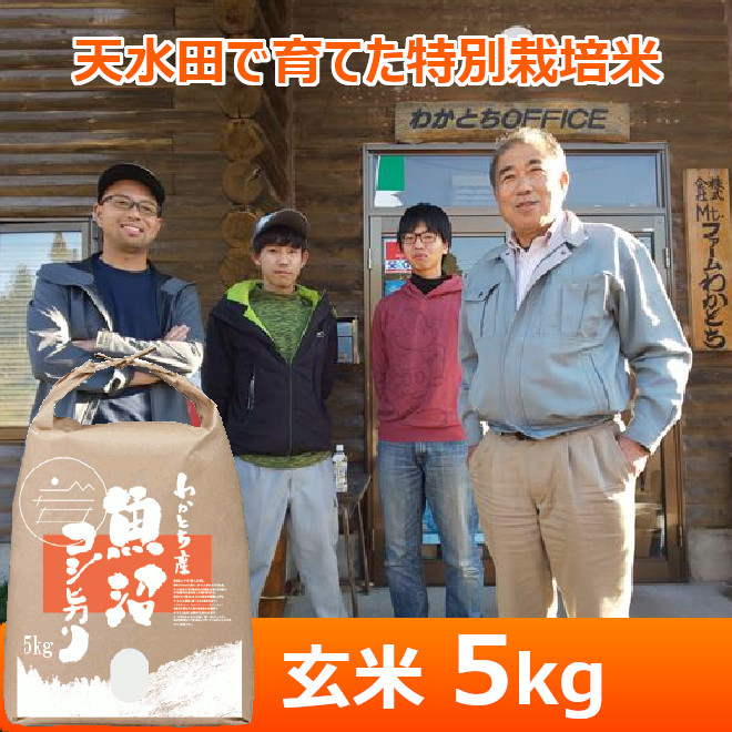 令和７年産【Mt.ファームわかとち】わかとち産　特別栽培棚田米（玄米）５kg