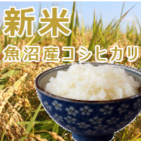 画像: <font color="red">≪入荷しました♪≫</font> 令和元年産 新米!